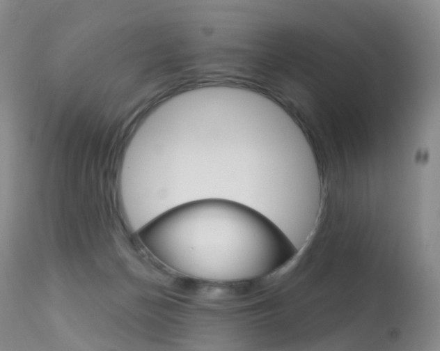 X0000113960174200909251035