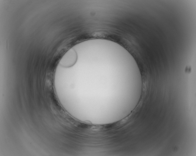 X0000113960175200909251035