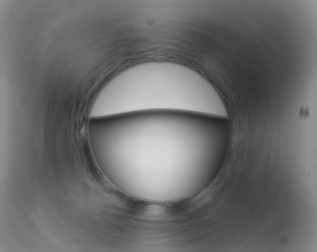 X0000113960176200909251035