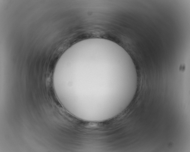 X0000113960177200909251035