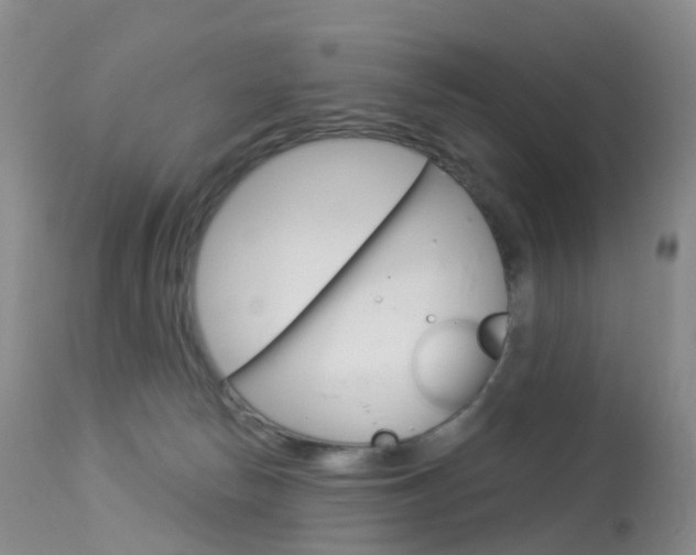 X0000113960178200909251035