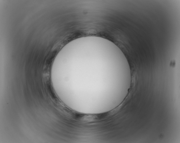 X0000113960179200909251035