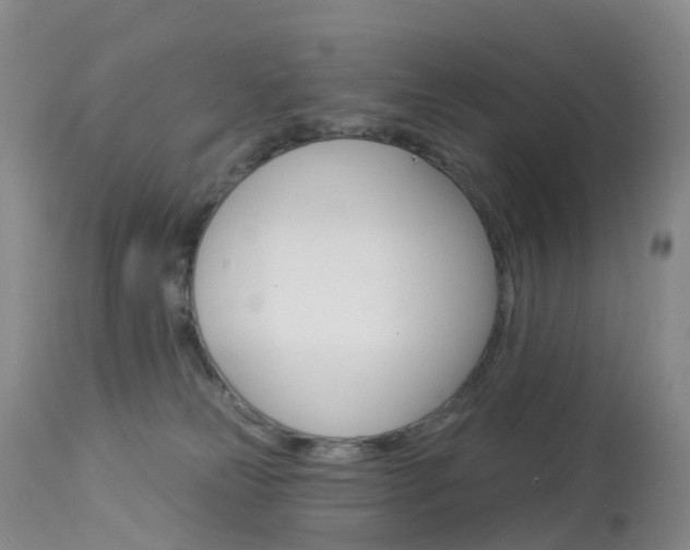 X0000113960181200909251035