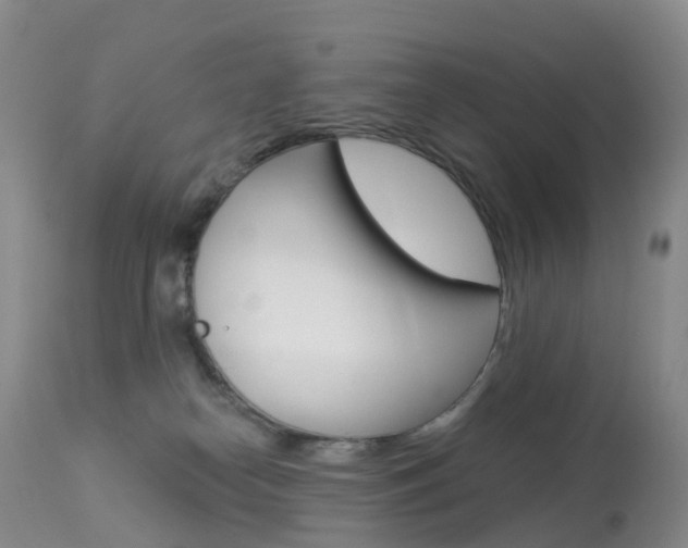 X0000113960182200909251035