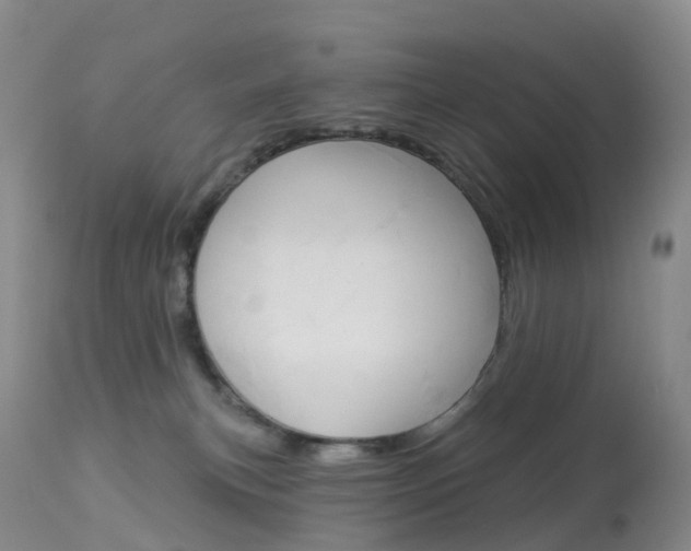 X0000113960183200909251035