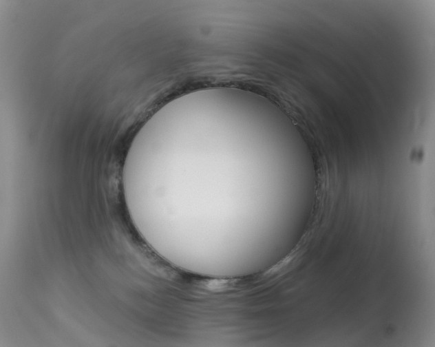 X0000113960184200909251035
