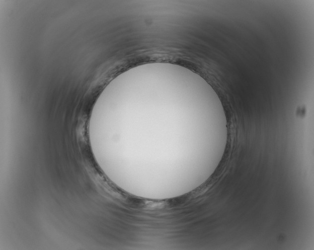 X0000113960185200909251035