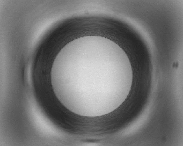 X0000113960189200909251035