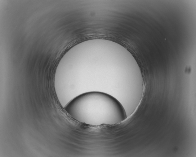 X0000113960190200909251035