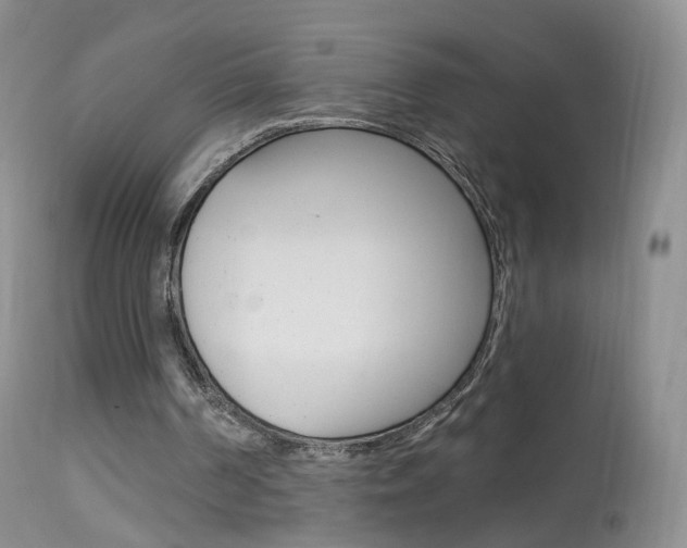 X0000113960194200909251035