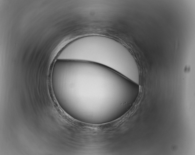 X0000113960195200909251035
