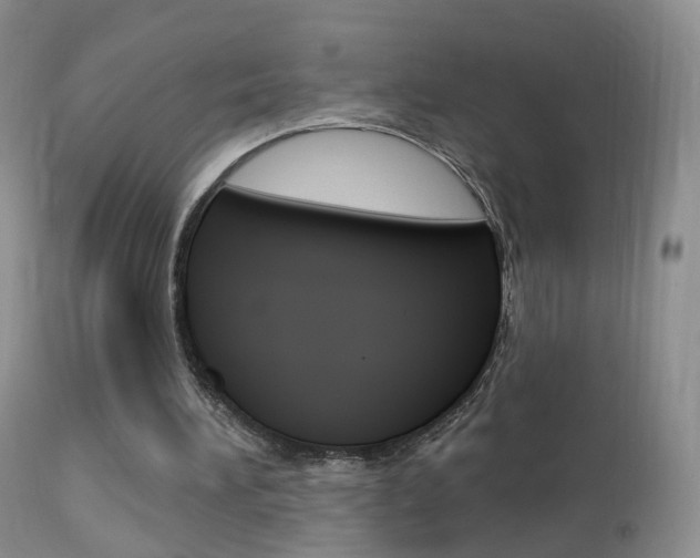 X0000113960196200909251035