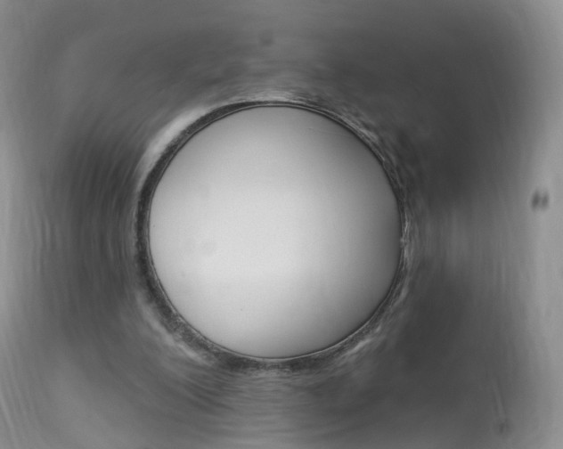 X0000113960200200909251035