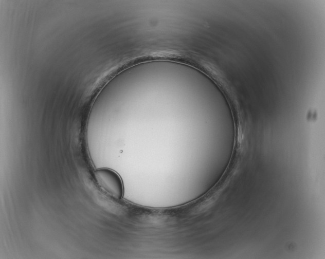 X0000113960201200909251035