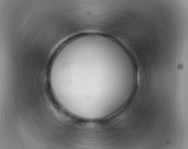 X0000113960204200909251035