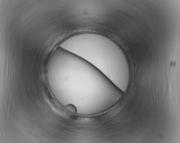 X0000113960205200909251035