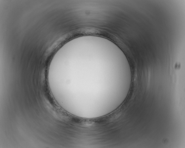 X0000113960206200909251035
