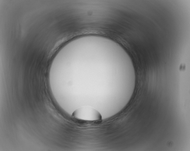 X0000113960207200909251035