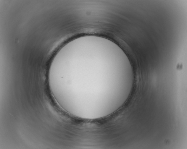 X0000113960208200909251035