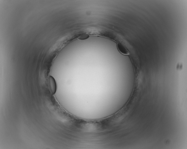 X0000113960209200909251035