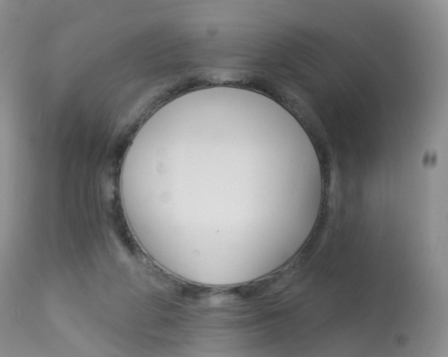 X0000113960210200909251035
