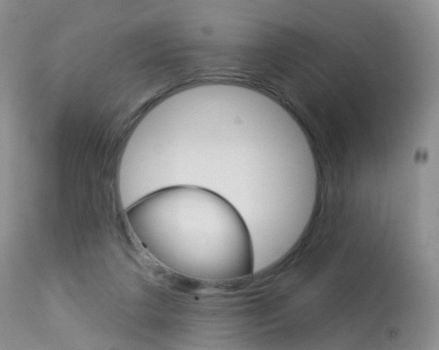 X0000113960211200909251035