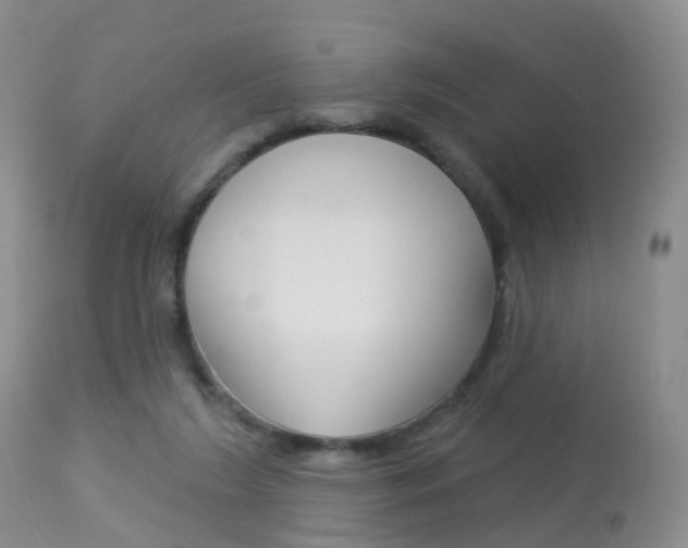 X0000113960212200909251035