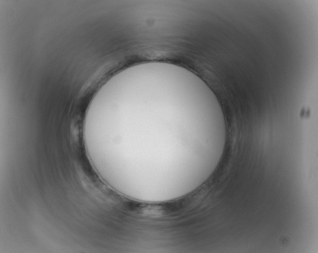 X0000113960214200909251034