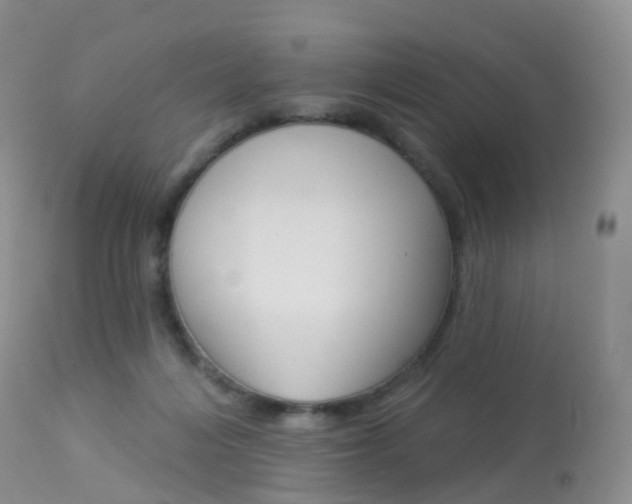 X0000113960216200909251034