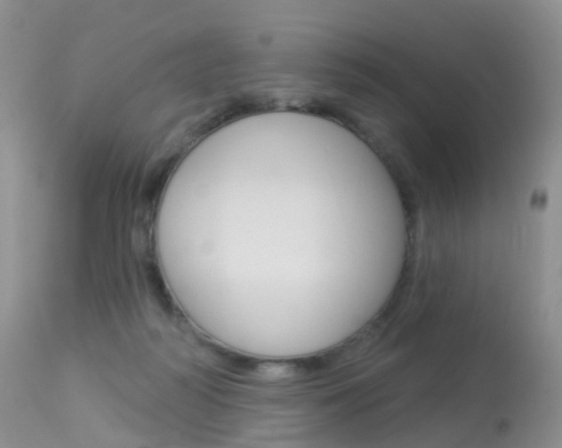 X0000113960218200909251034