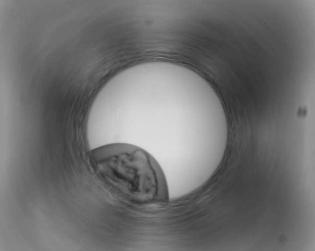 X0000113960219200909251034