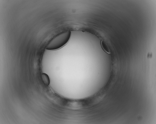 X0000113960221200909251034
