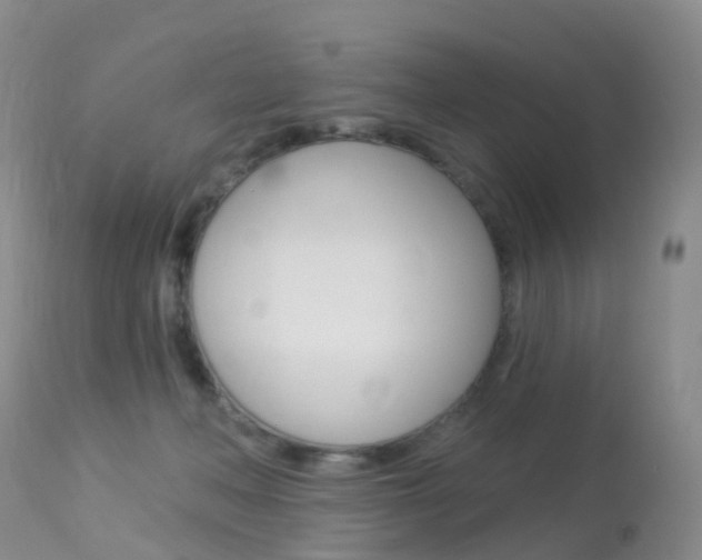 X0000113960222200909251034