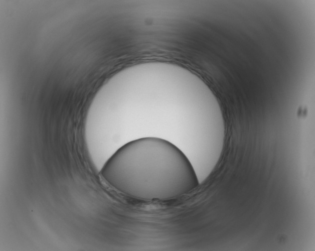X0000113960223200909251034