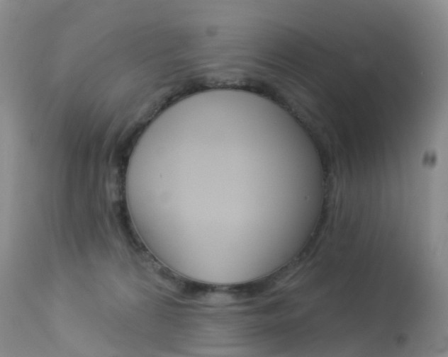 X0000113960224200909251034