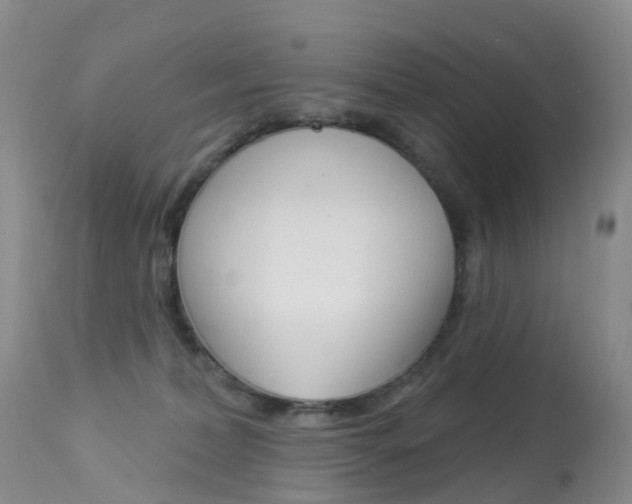 X0000113960228200909251034