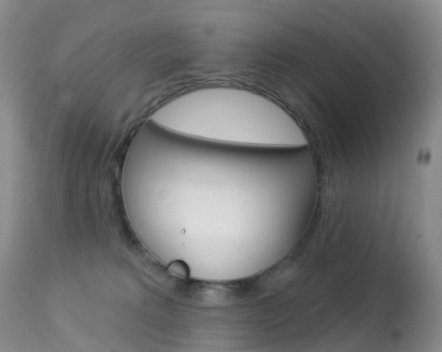X0000113960229200909251034