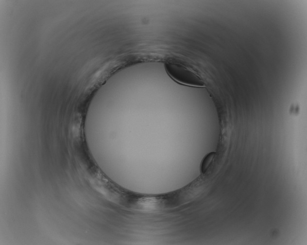 X0000113960231200909251034