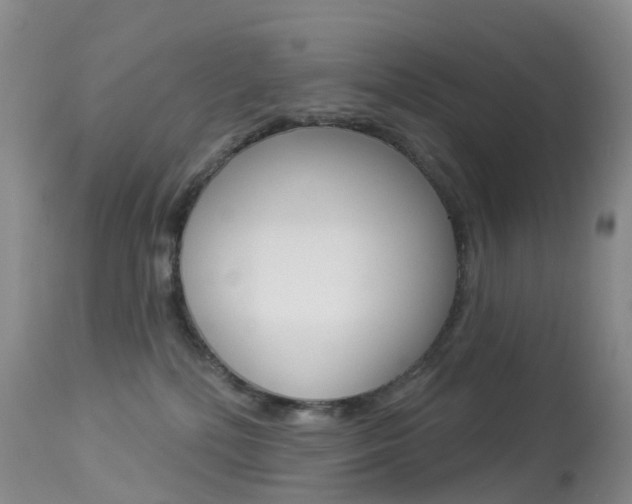 X0000113960232200909251034