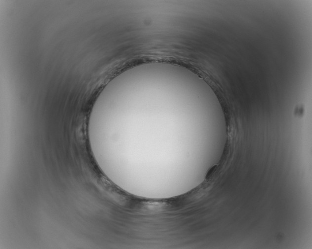 X0000113960233200909251034