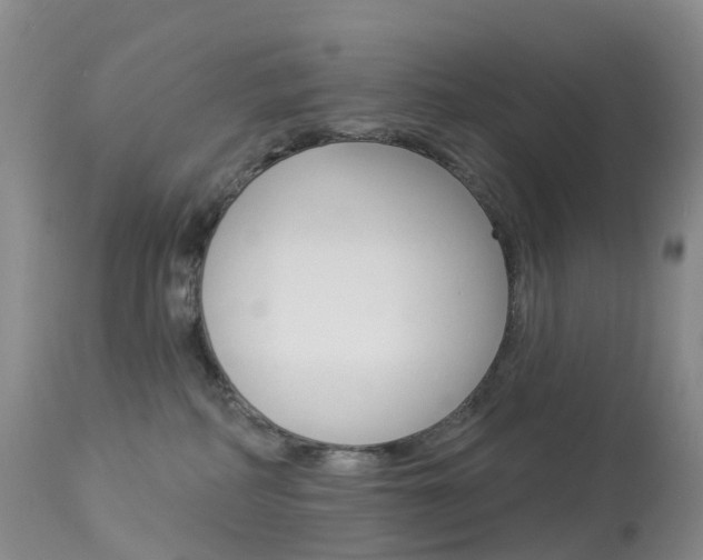 X0000113960234200909251034