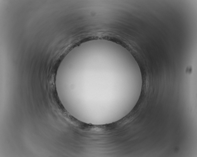 X0000113960236200909251034