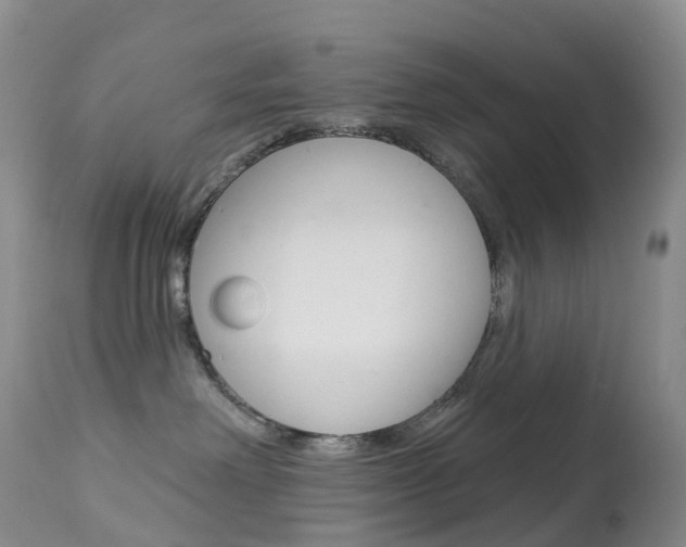 X0000113960238200909251034