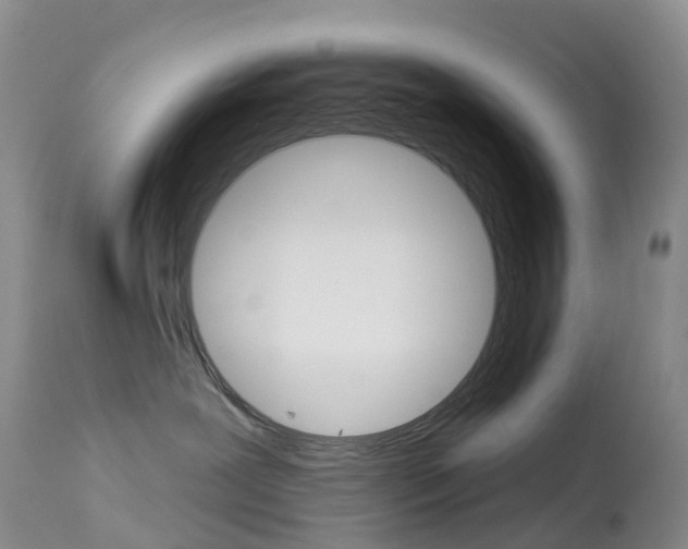 X0000113960239200909251034