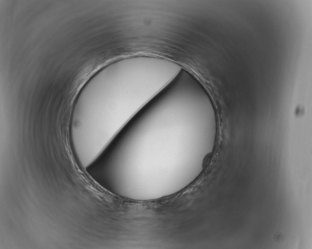 X0000113960241200909251033