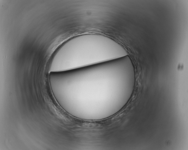 X0000113960242200909251033
