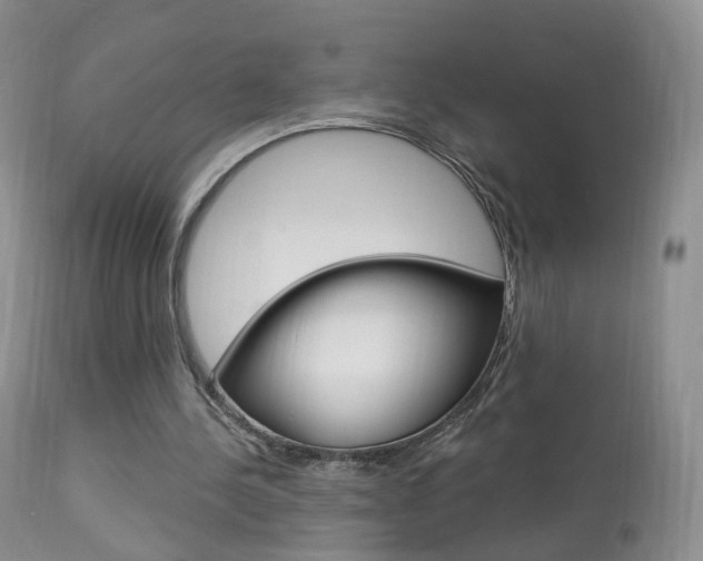 X0000113960244200909251034