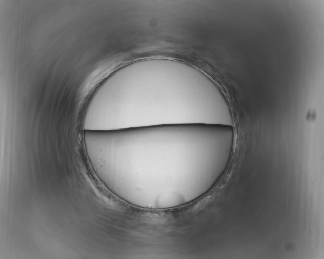 X0000113960245200909251034