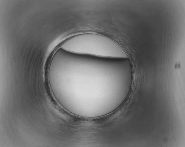 X0000113960246200909251034