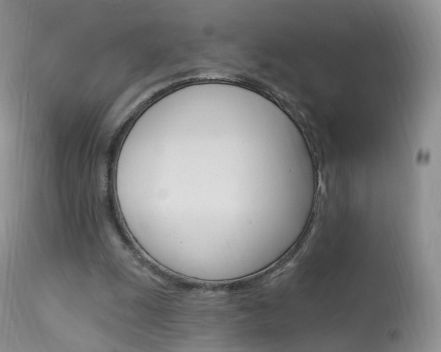 X0000113960247200909251034